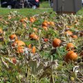 IMG_1380058