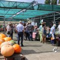 IMG_1380059
