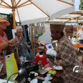 IMG_1380076