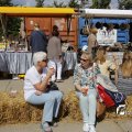 IMG_1380158