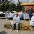 IMG_1380159