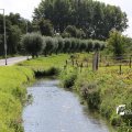 IMG_1380207