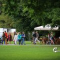 IMG_1380221