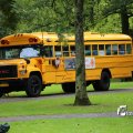 IMG_1380223