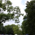 IMG_1380261