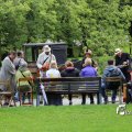 IMG_1380269