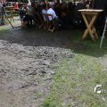 IMG_1380493