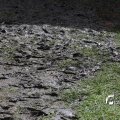 IMG_1380494