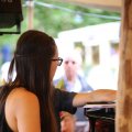 IMG_1380504