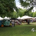 IMG_1380553