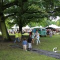 IMG_1380554