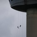 IMG_1380586
