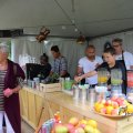 IMG_1380604