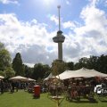 IMG_1380851