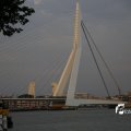 IMG_1381708