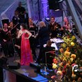 IMG_1381811