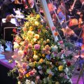 IMG_1381834