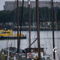 IMG_1381855