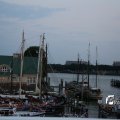 IMG_1381866