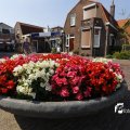 IMG_1381469