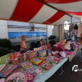 IMG_1381527
