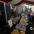 IMG_1381545