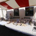 IMG_1381548