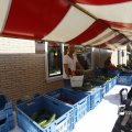 IMG_1381576