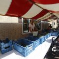 IMG_1381579