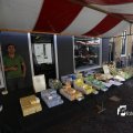 IMG_1381587