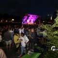 IMG_1382167