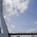 IMG_1383117