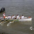 IMG_1383391