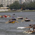 IMG_1383459