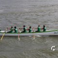 IMG_1383471
