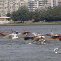 IMG_1383497