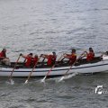 IMG_1383534