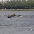 IMG_1383662
