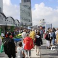 IMG_1382761