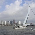 IMG_1382787