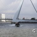 IMG_1382845