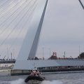 IMG_1382847