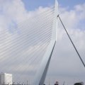 IMG_1382850