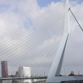 IMG_1382854