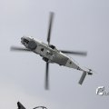 IMG_1382923