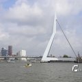 IMG_1382950