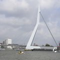 IMG_1382954