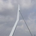 IMG_1382956