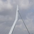 IMG_1382957