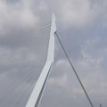 IMG_1382958